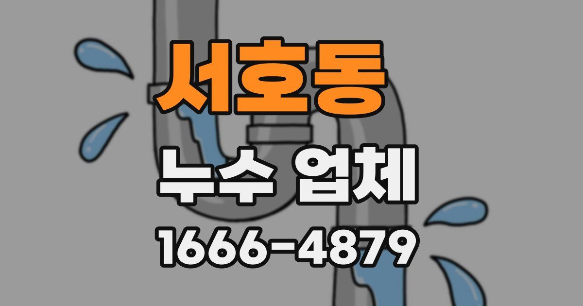 서호동 누수 업체