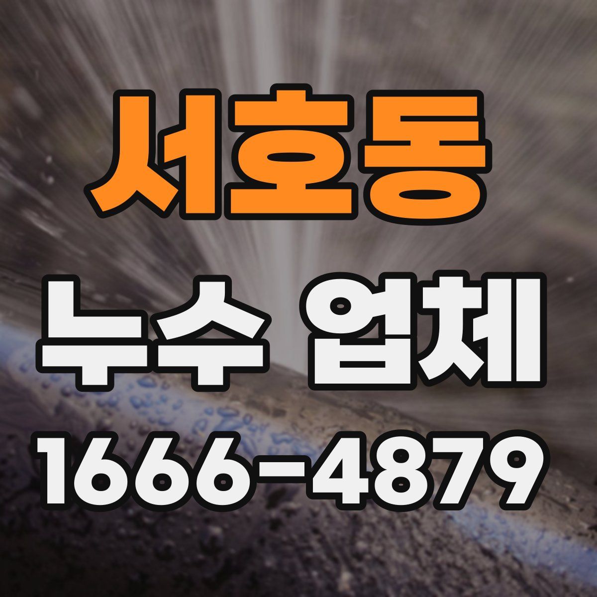 서호동 누수 업체