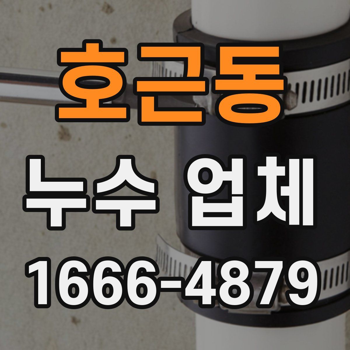 호근동 누수 업체