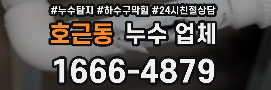 호근동 누수 업체
