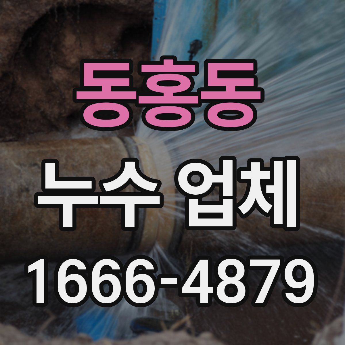 동홍동 누수 업체