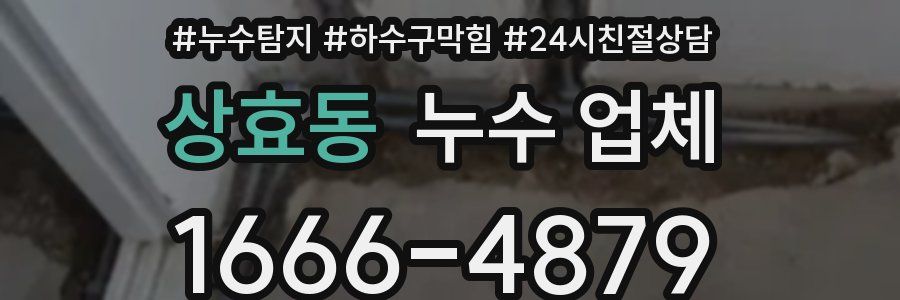 상효동 누수 업체