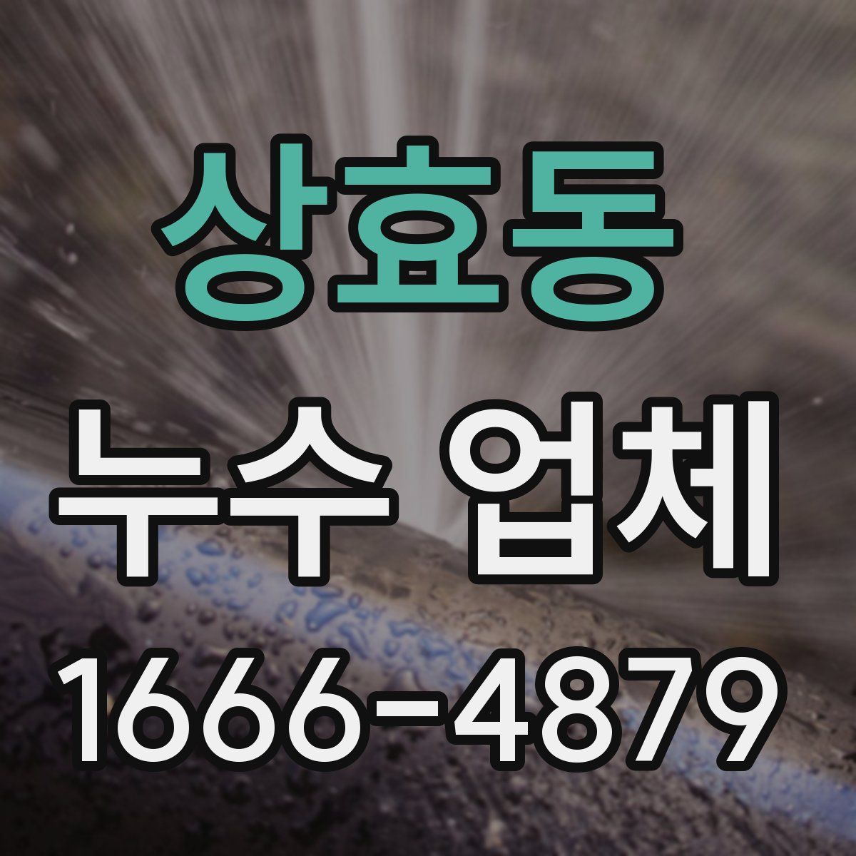 상효동 누수 업체