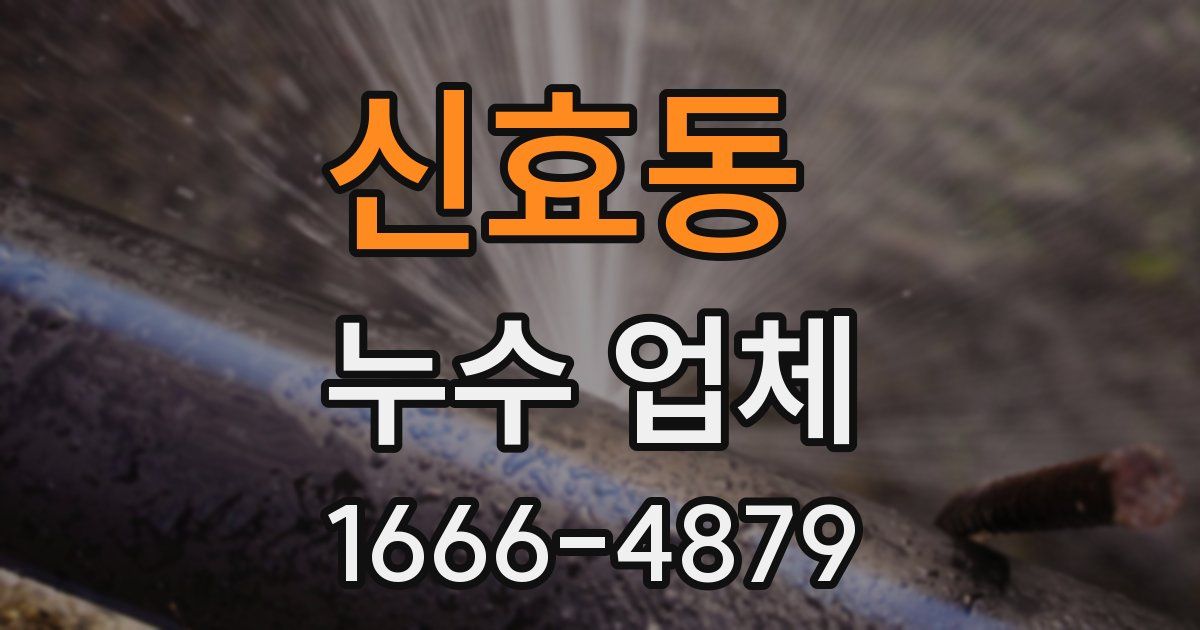 신효동 누수 업체