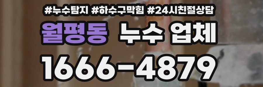 월평동 누수 업체