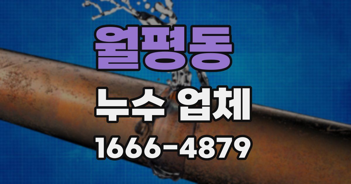 월평동 누수 업체