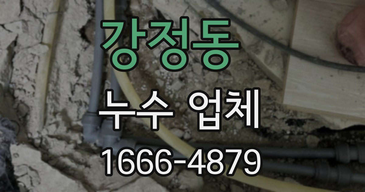 강정동 누수 업체