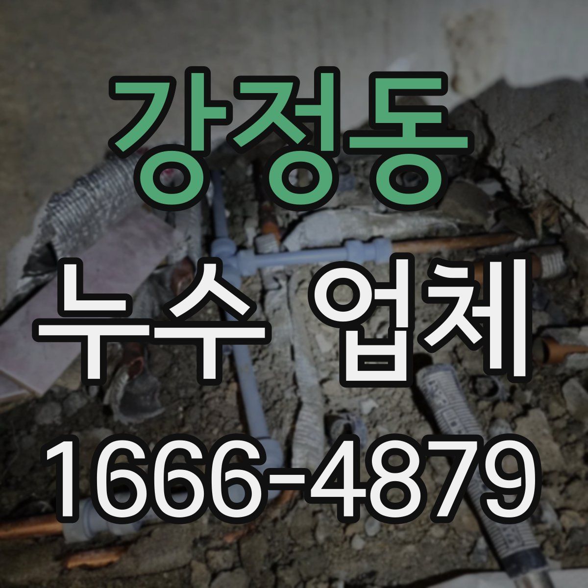 강정동 누수 업체