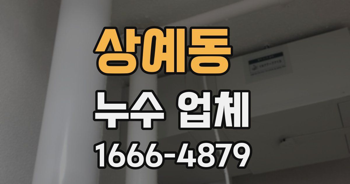 상예동 누수 업체