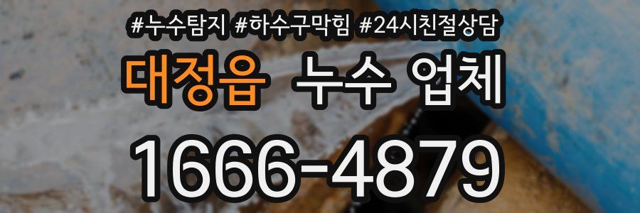 대정읍 누수 업체