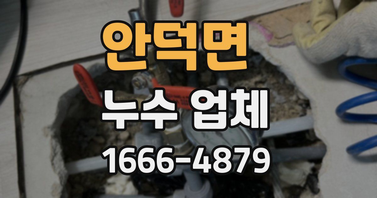 안덕면 누수 업체