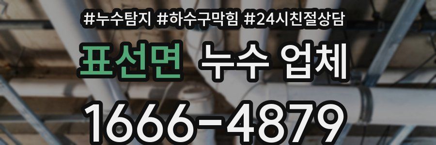 표선면 누수 업체