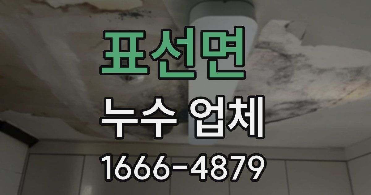 표선면 누수 업체