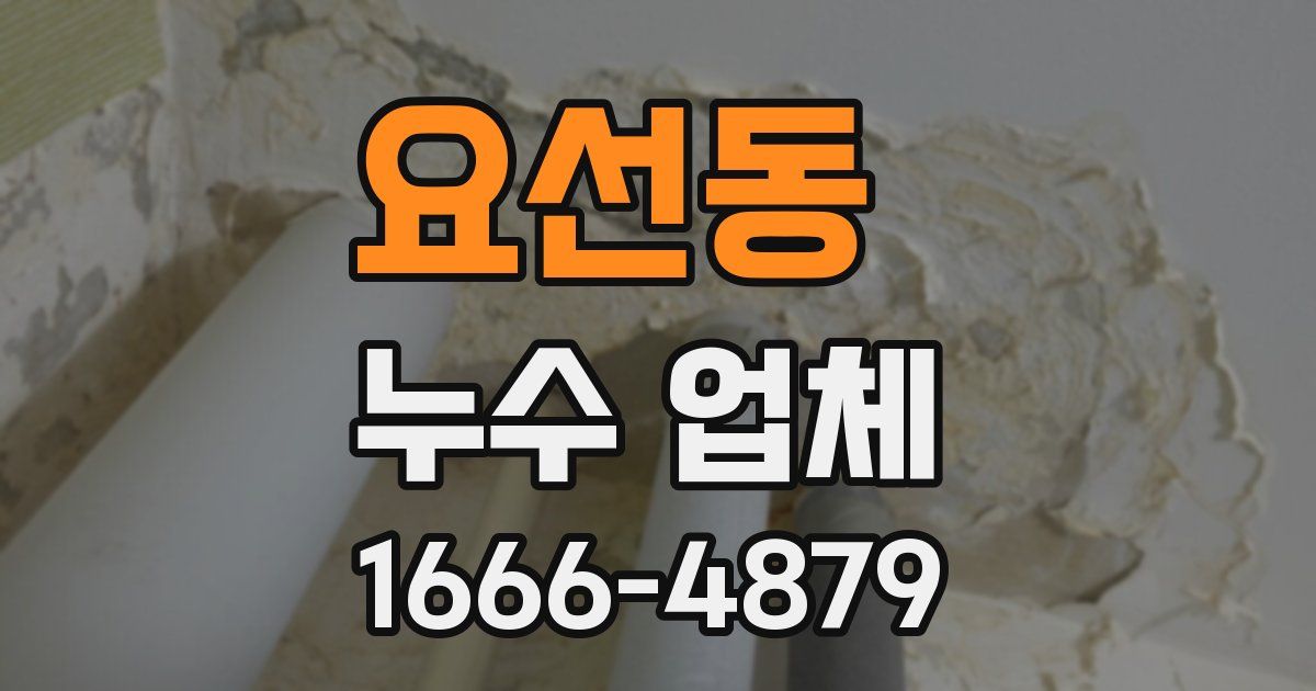 요선동 누수 업체