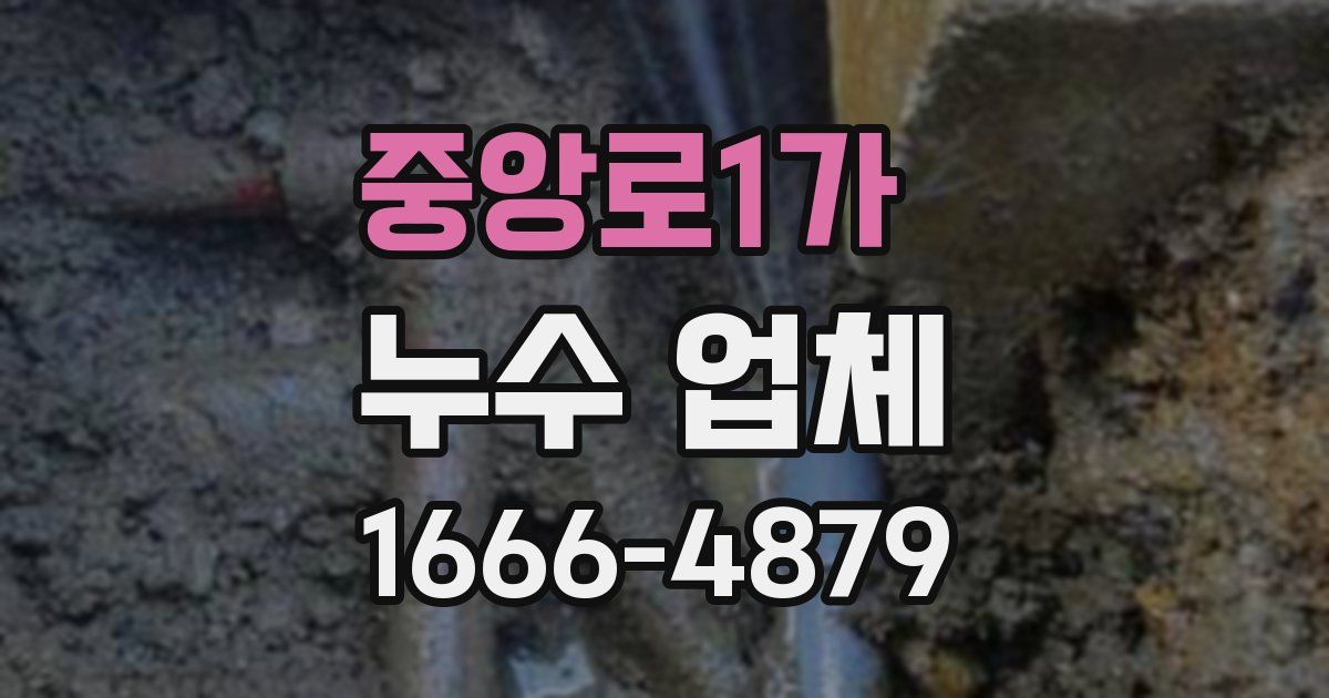 중앙로1가 누수 업체