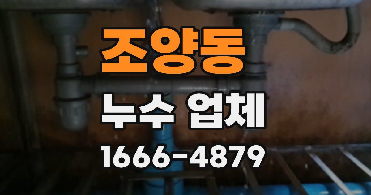 조양동 누수 업체