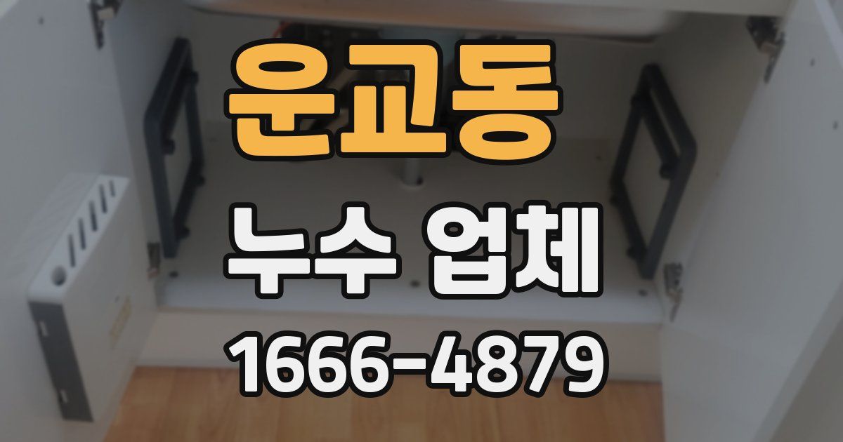 운교동 누수 업체