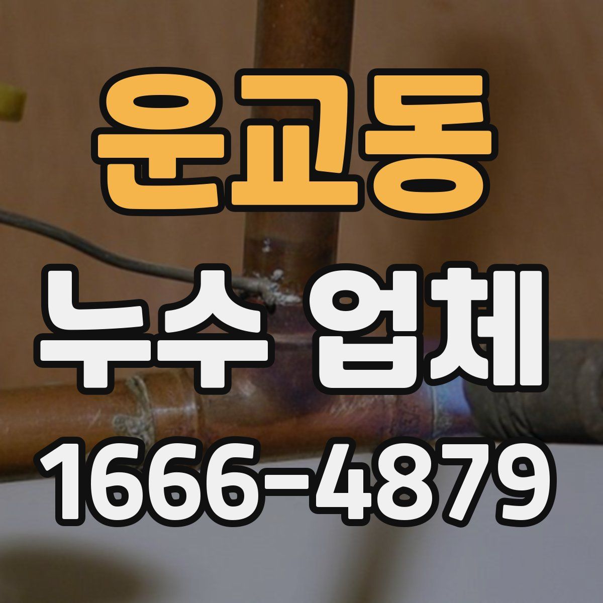 운교동 누수 업체