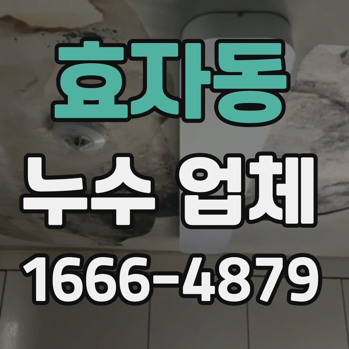 효자동 누수 업체