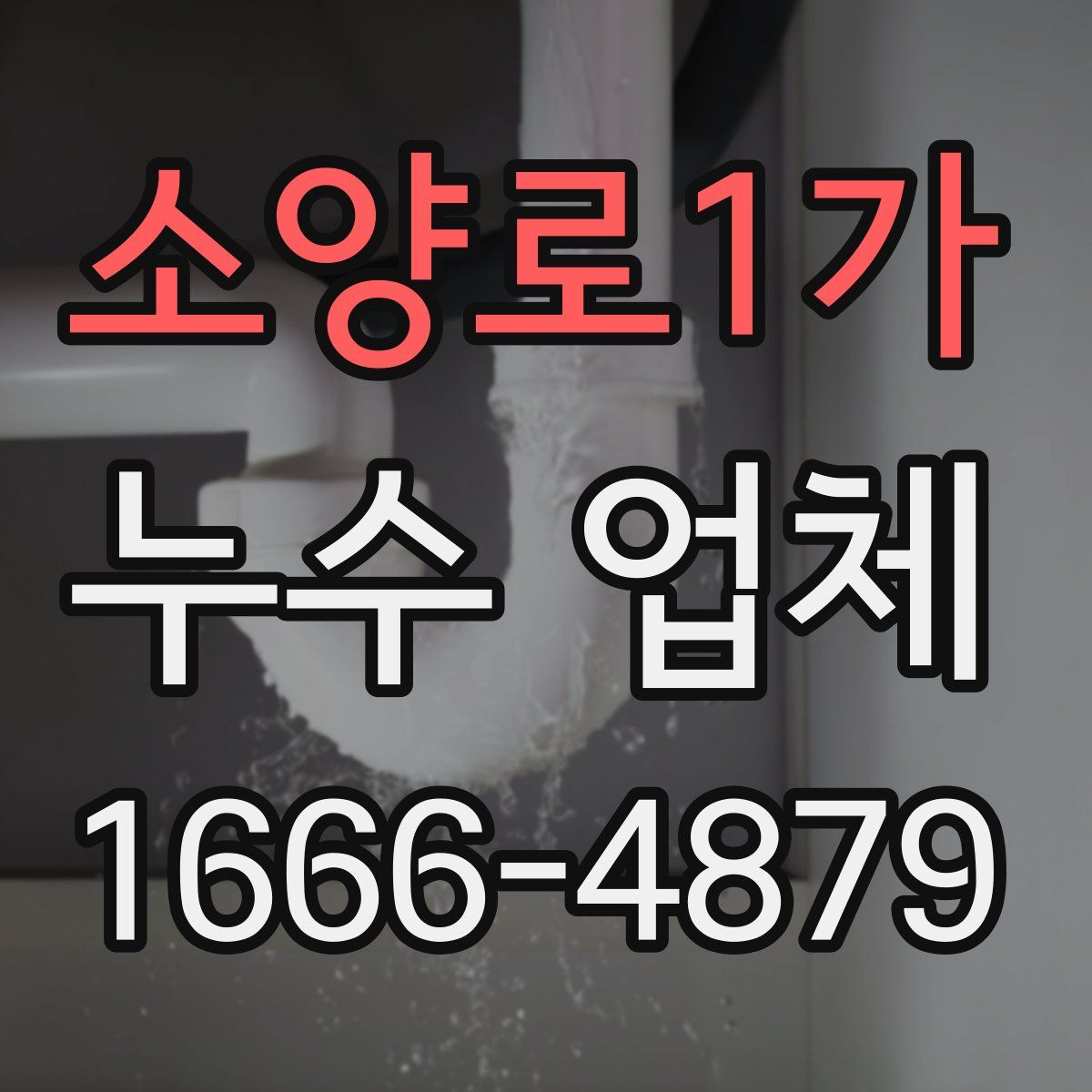 소양로1가 누수 업체