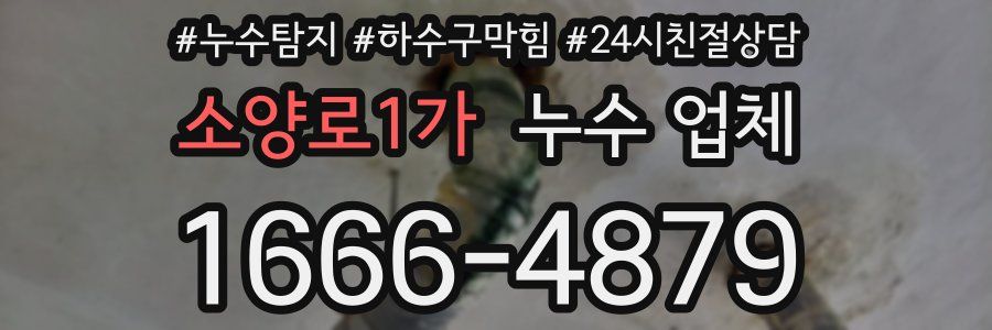 소양로1가 누수 업체