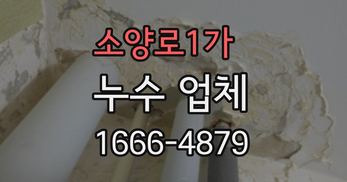 소양로1가 누수 업체