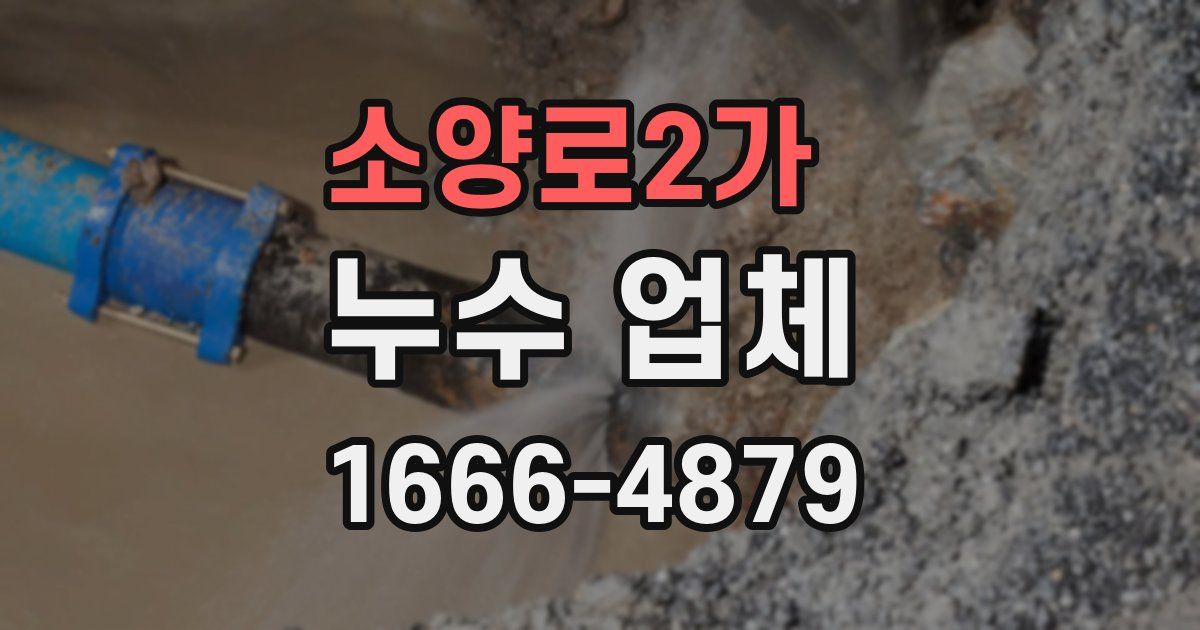 소양로2가 누수 업체