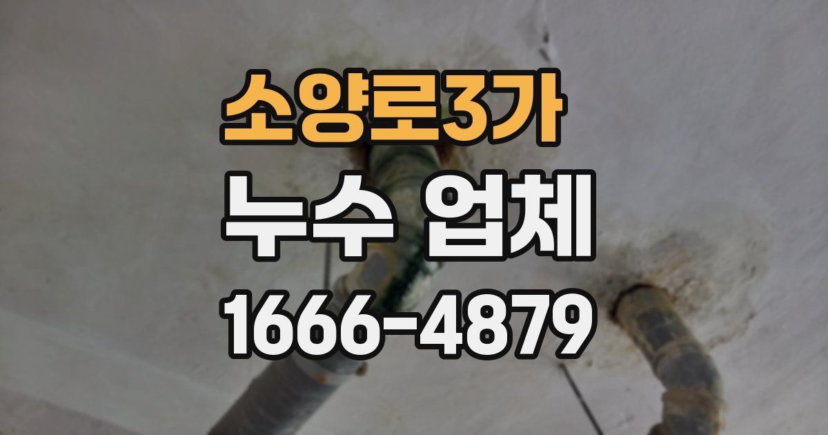 소양로3가 누수 업체