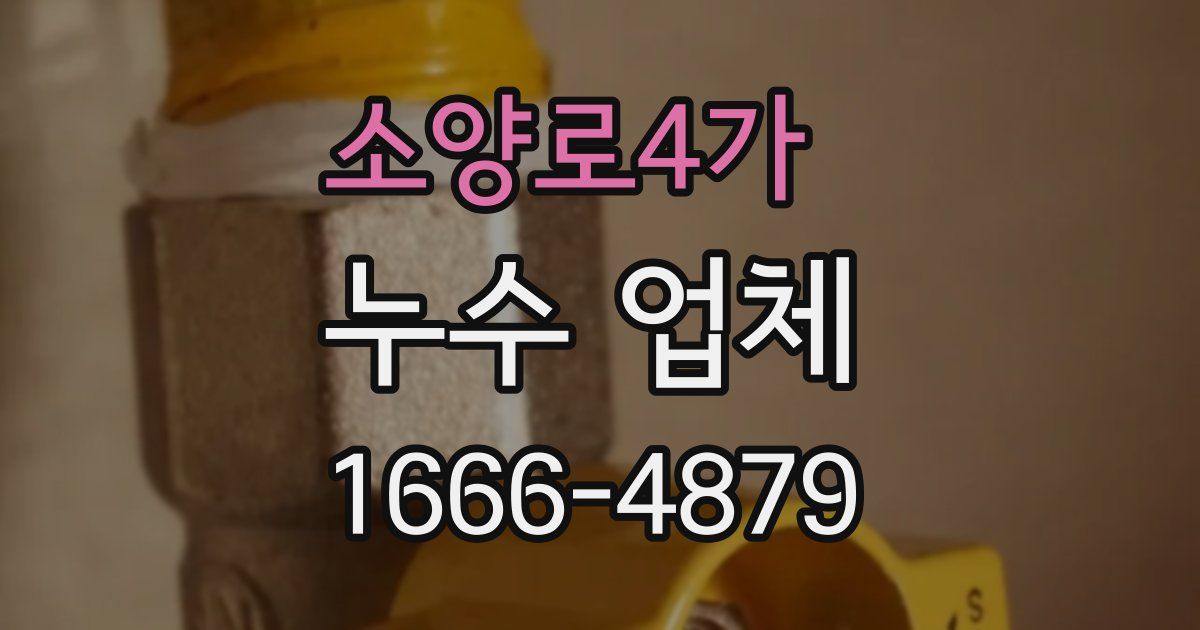 소양로4가 누수 업체