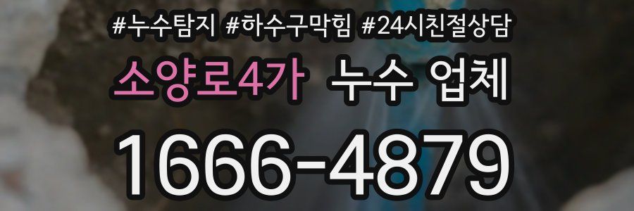 소양로4가 누수 업체