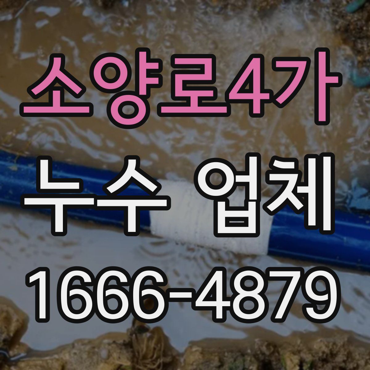 소양로4가 누수 업체