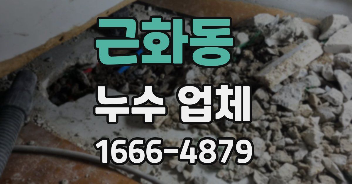 근화동 누수 업체