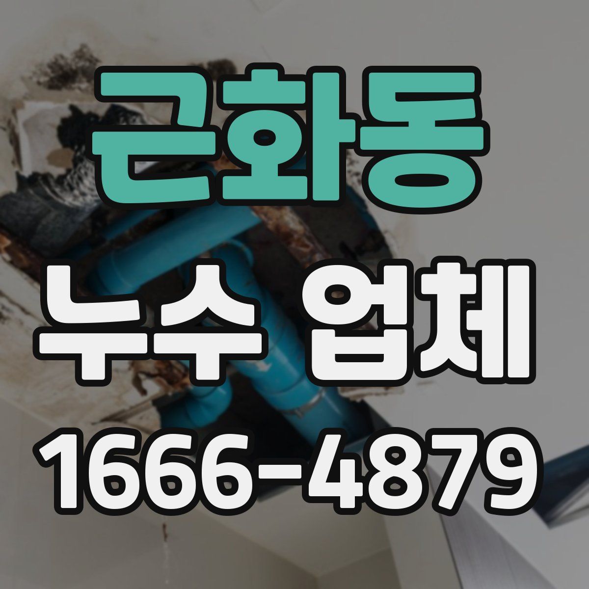 근화동 누수 업체
