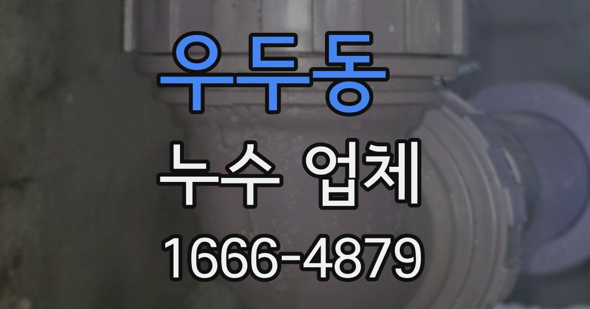 우두동 누수 업체