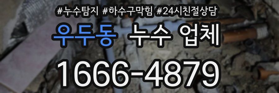 우두동 누수 업체