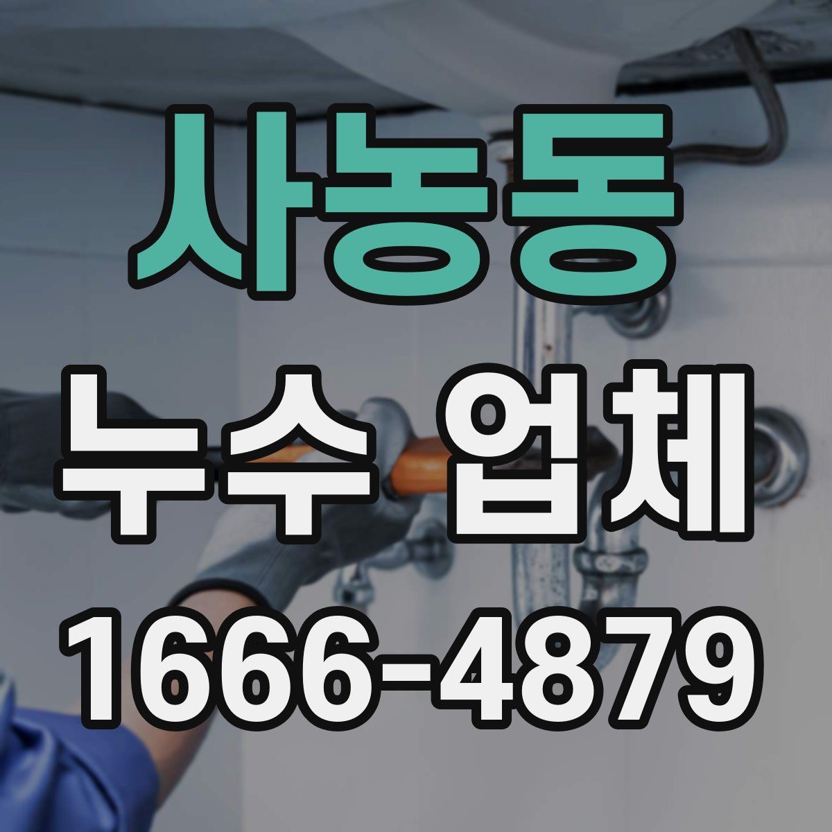 사농동 누수 업체