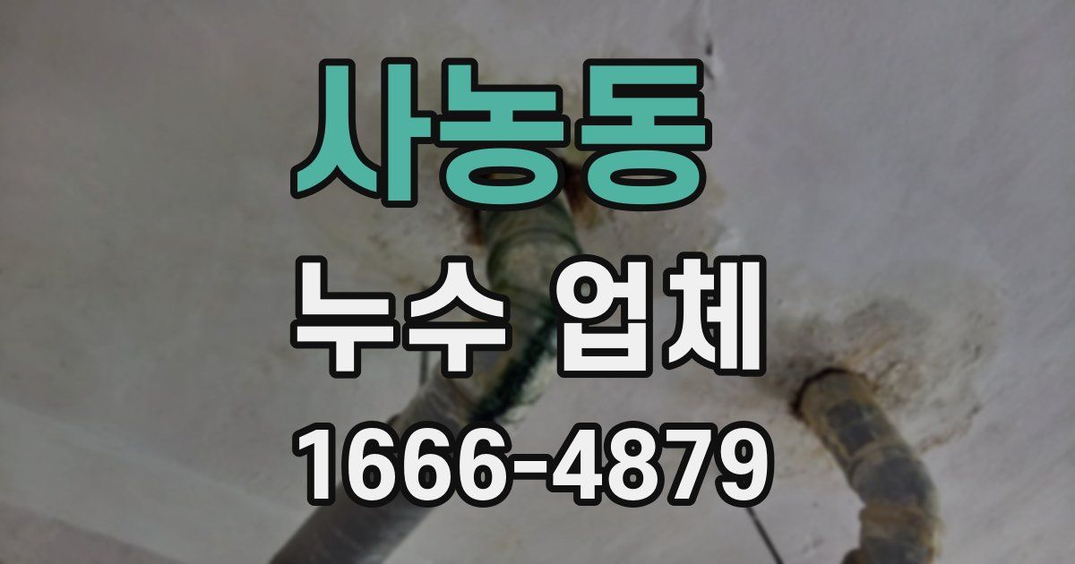 사농동 누수 업체