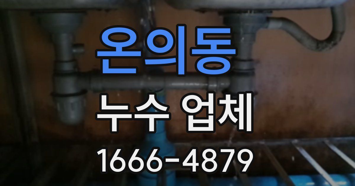 온의동 누수 업체