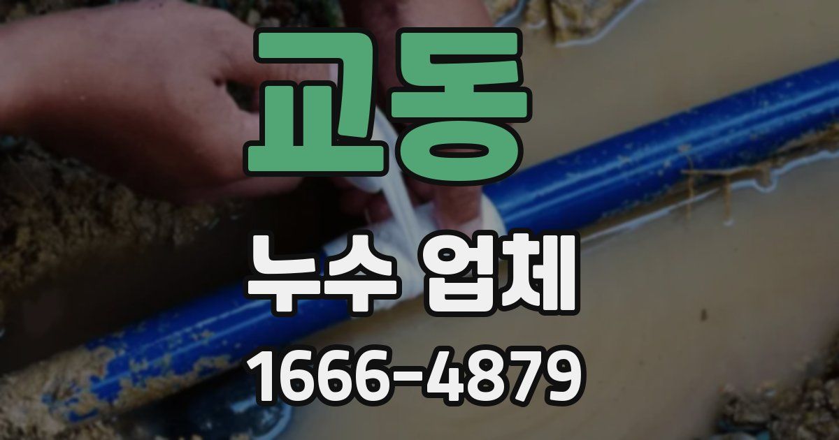 교동 누수 업체