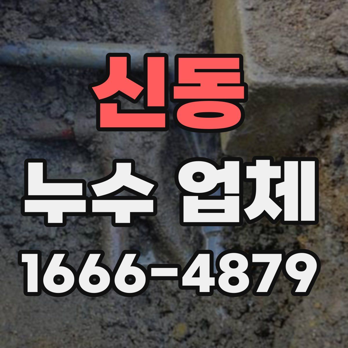신동 누수 업체