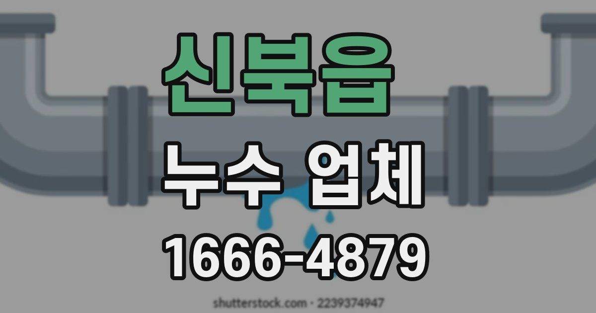 신북읍 누수 업체