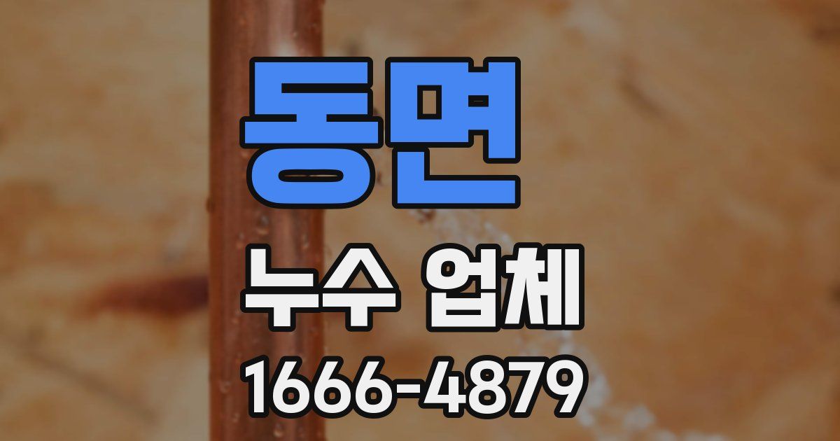동면 누수 업체