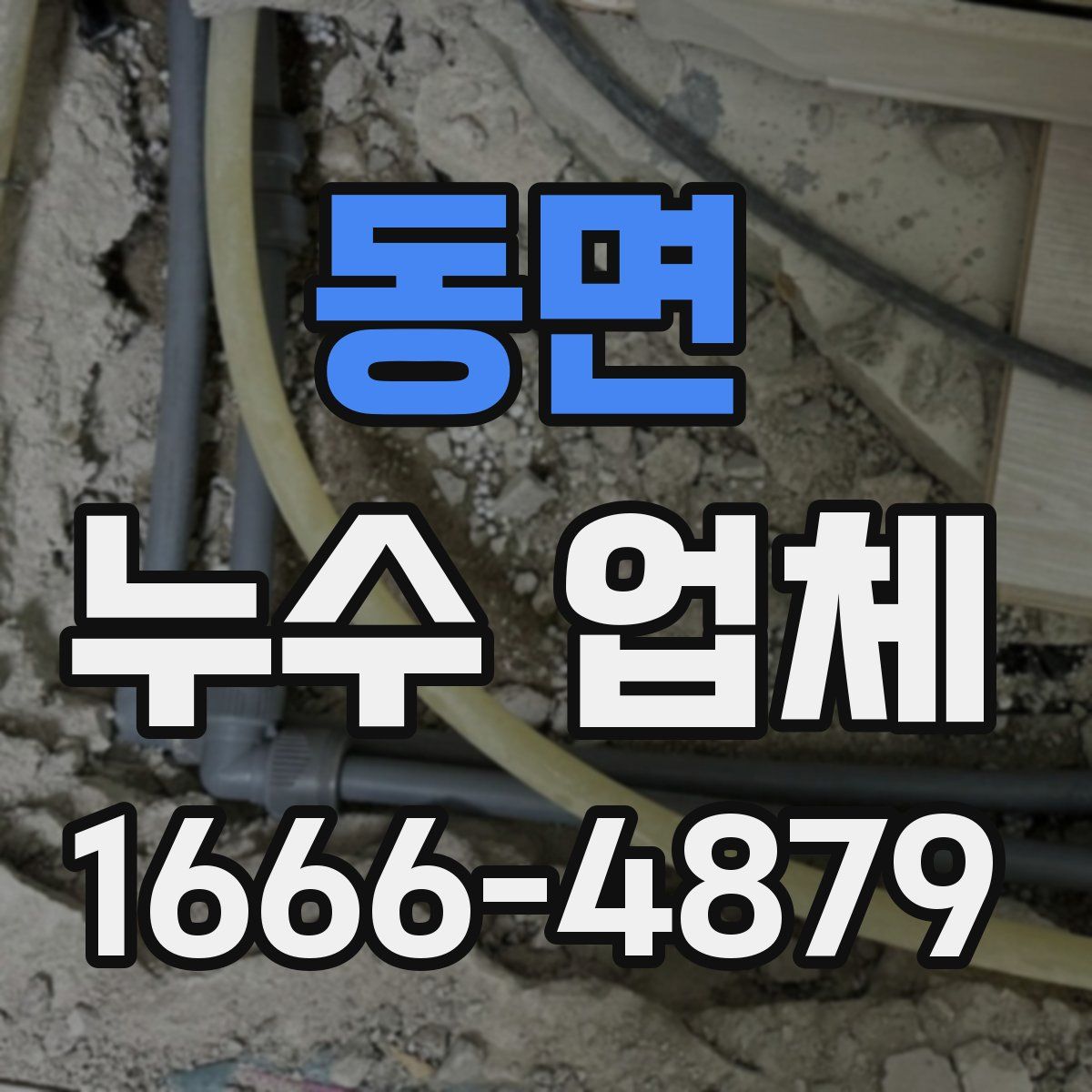 동면 누수 업체