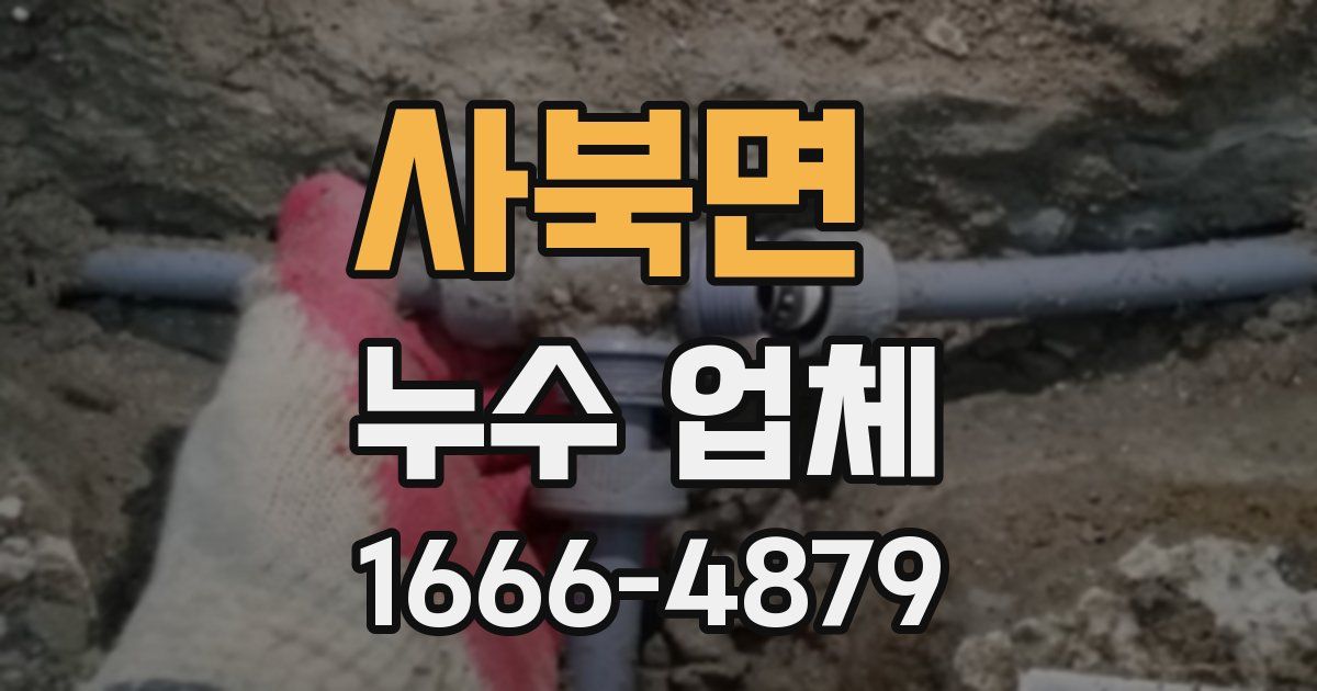 사북면 누수 업체