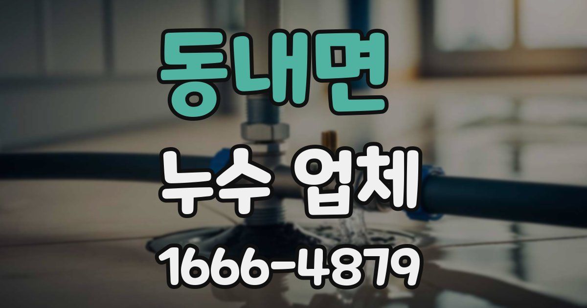 동내면 누수 업체