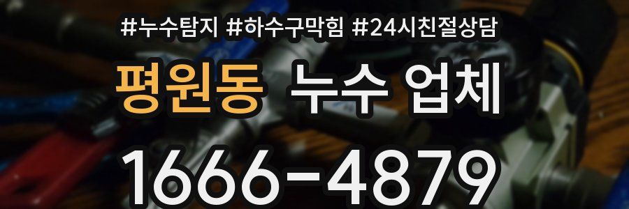 평원동 누수 업체