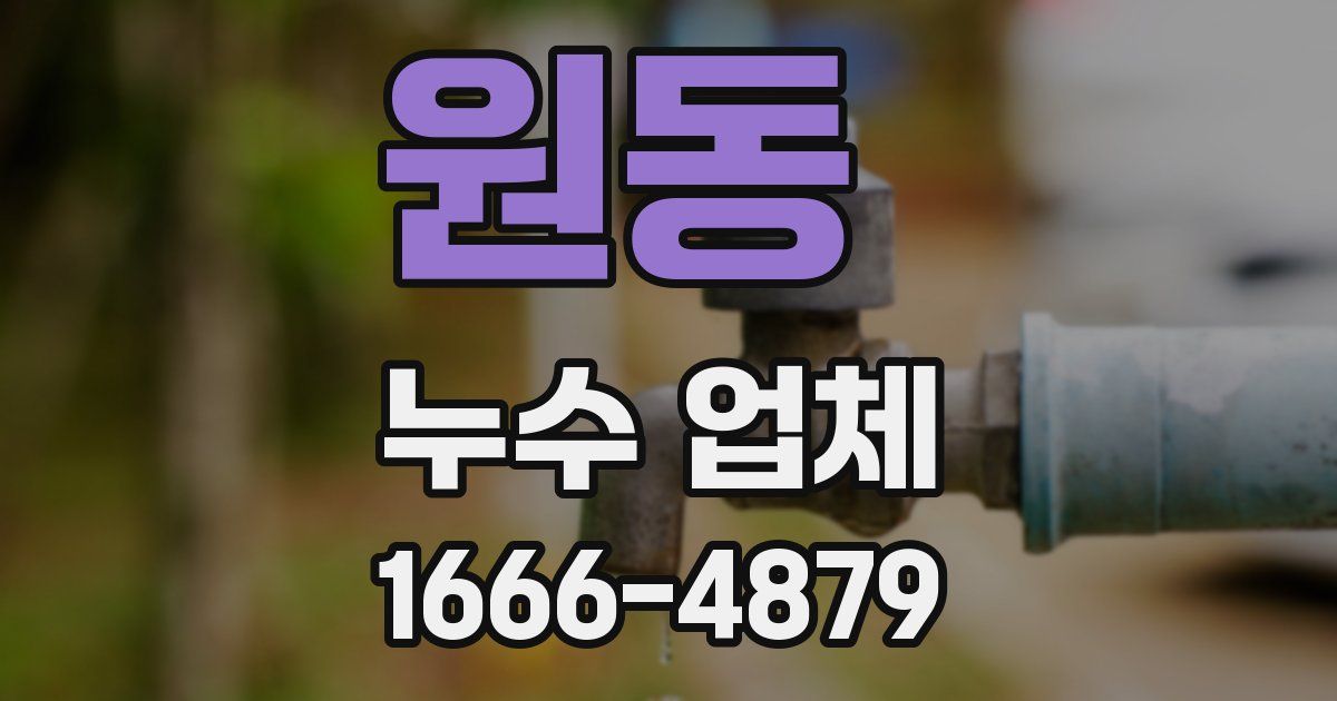 원동 누수 업체