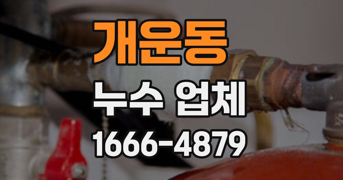 개운동 누수 업체