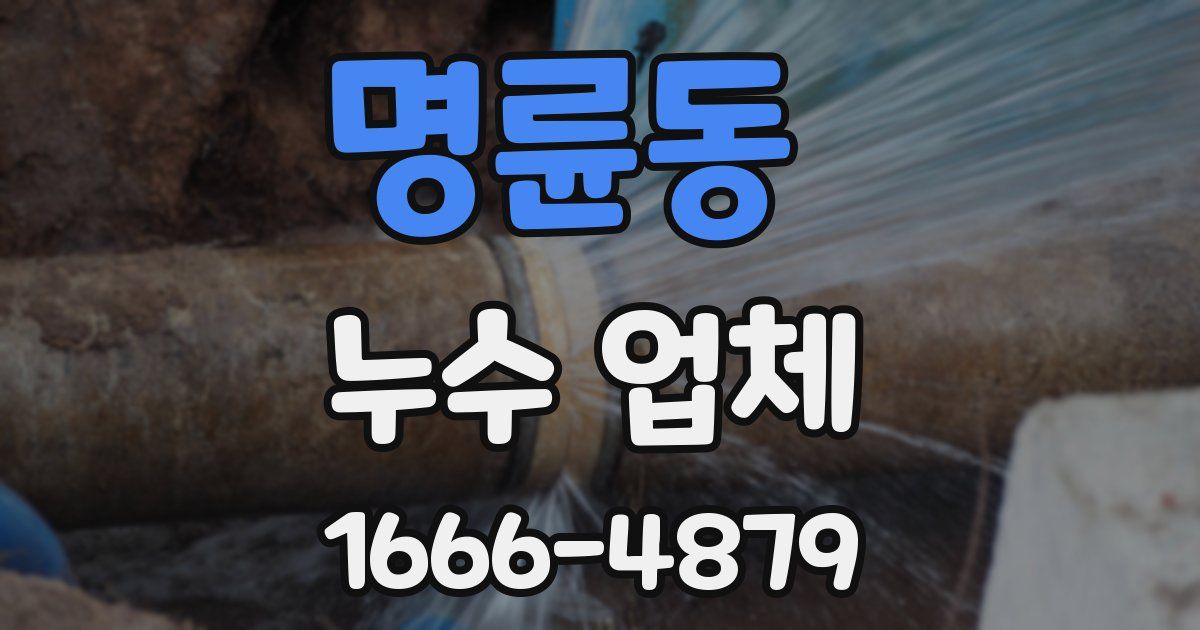 명륜동 누수 업체