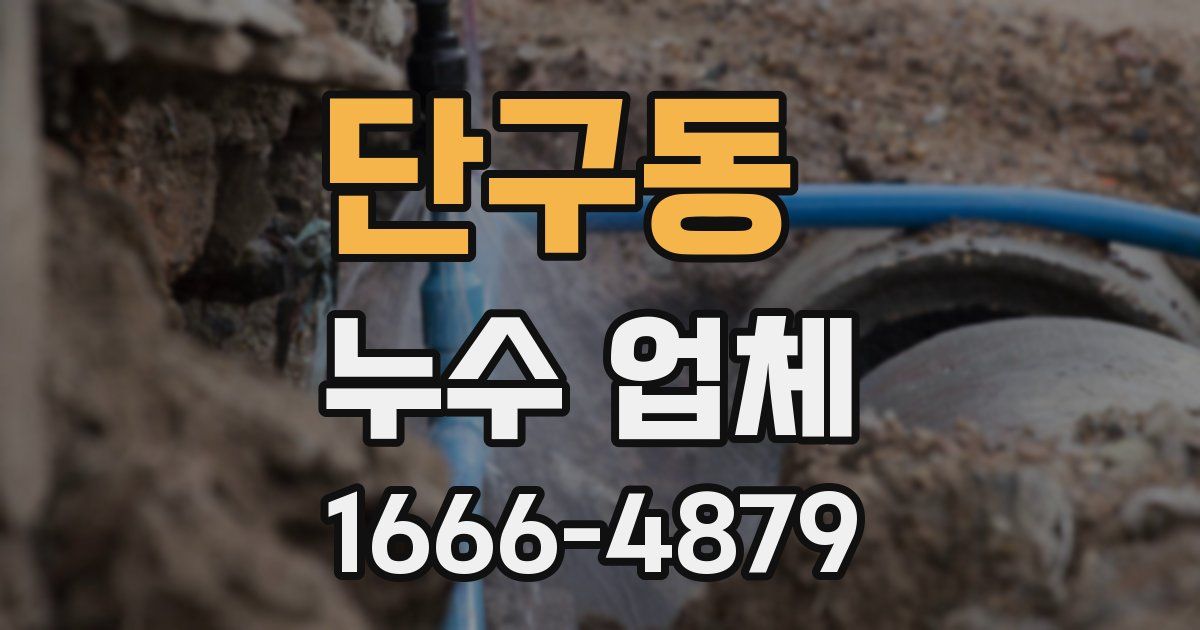 단구동 누수 업체